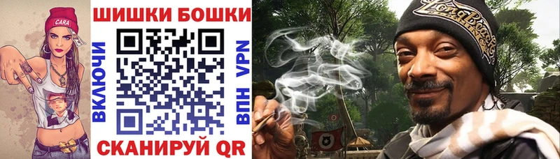 блэк спрут   Жердевка  Бошки Шишки план  купить наркотики цена 